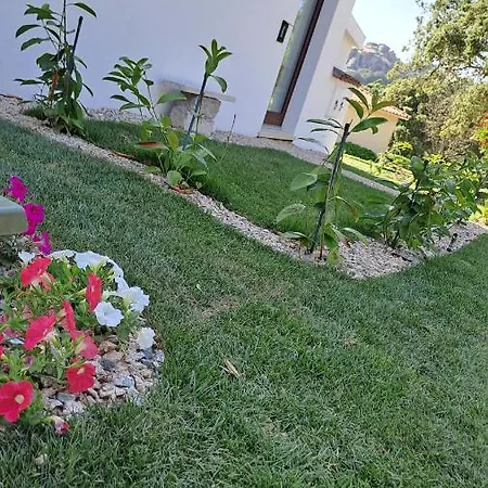 Casa La Chintina Bed & Breakfast 3*